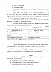 www.speros.lt